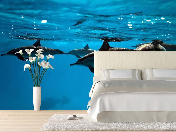 Dolphins in the sea Wall Mural-Animals & Wildlife,Best Rated Murals-Eazywallz