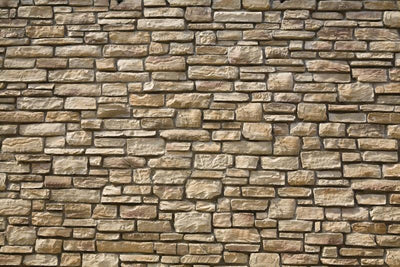 Stone wall Wall Mural-Textures-Eazywallz