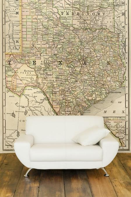 1889 Map of Texas Wall Mural-Maps-Eazywallz