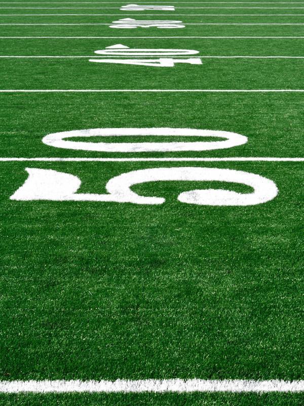 50 yard line Wall Mural-Sports-Eazywallz