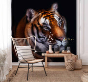 Photo Wallpaper The Tiger