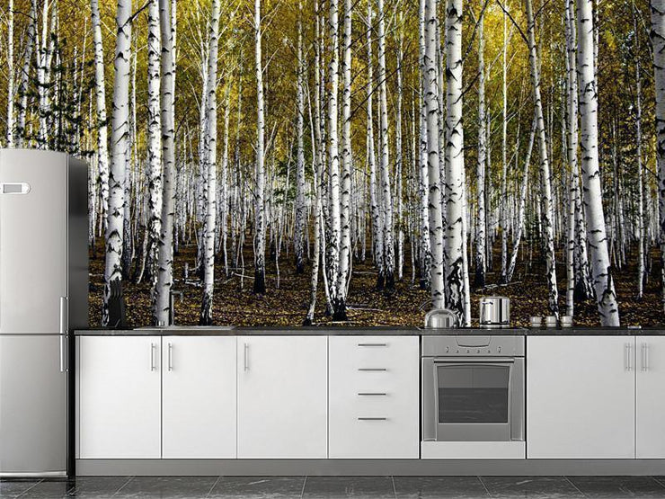 Autumn birch forest Wall Mural-Landscapes & Nature-Eazywallz