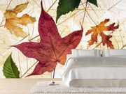 Autumn leaves Wall Mural-Macro,Textures-Eazywallz