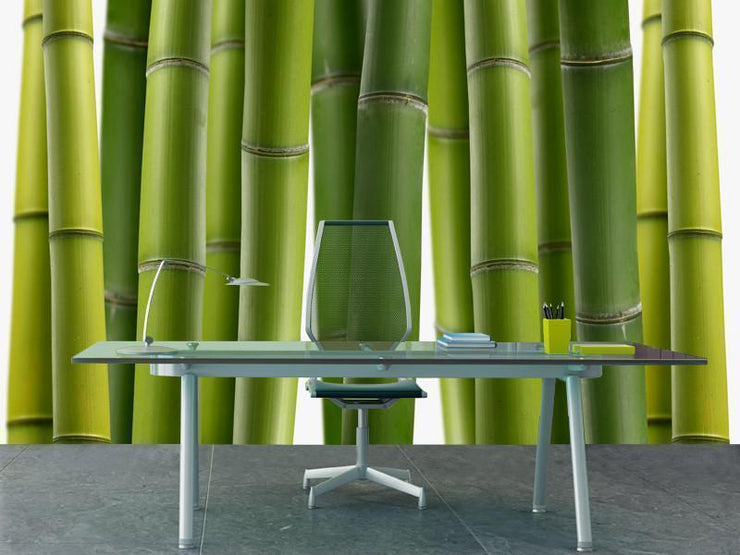 Bamboo jungle Wall Mural-Landscapes & Nature,Zen-Eazywallz