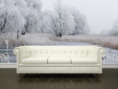 Beautiful winter landscape Wall Mural-Landscapes & Nature-Eazywallz