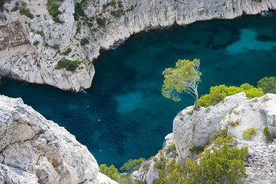 Calanque d'en Vau Wall Mural-Tropical & Beach-Eazywallz