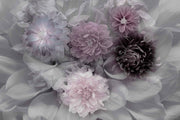 Photo Wallpaper Dahlia Dream