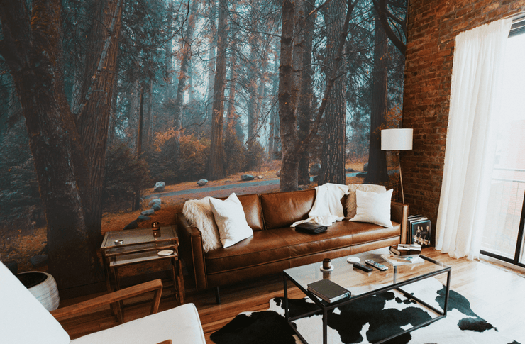 Dark Forest in Autumn Wall Mural-Landscapes & Nature-Eazywallz