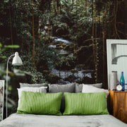 Dark Jungle Trail Wall Mural-Landscapes & Nature-Eazywallz