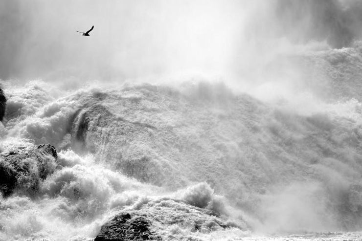 Dramatic Niagara Falls, Canada Wall Mural-Black & White,Buildings & Landmarks,Landscapes & Nature,Staff Favourite Murals-Eazywallz