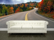 Fall scenic highway Wall Mural-Landscapes & Nature-Eazywallz