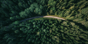 Forest Road Table Skin-Landscapes & Nature-Eazywallz