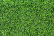 Grass texture Wall Mural-Textures-Eazywallz