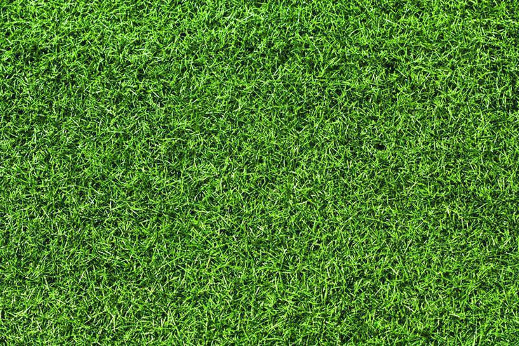 Grass texture Wall Mural-Textures-Eazywallz