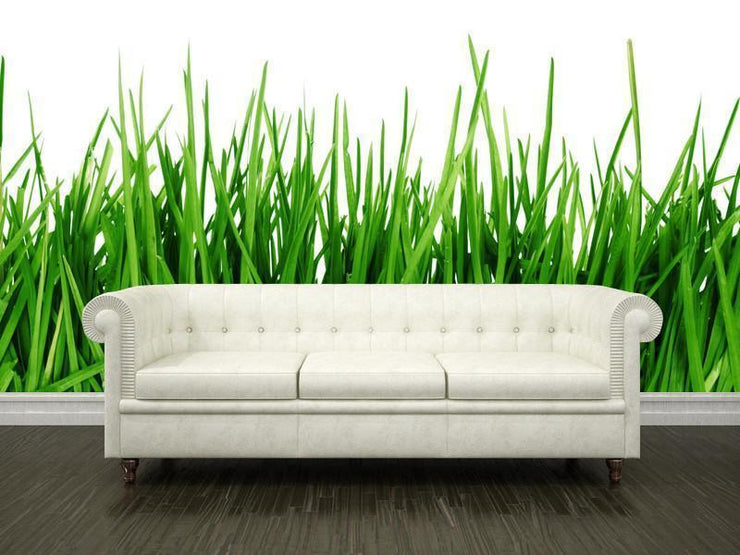 Green grass close up Wall Mural-Macro,Textures-Eazywallz