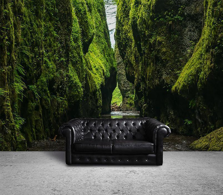 Green River Ravine Wall Mural-Landscapes & Nature-Eazywallz