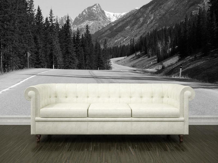 Highway to the Rocky mountains Wall Mural-Landscapes & Nature-Eazywallz