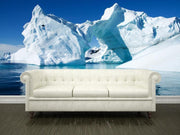 Iceberg in Antarctica Wall Mural-Landscapes & Nature-Eazywallz