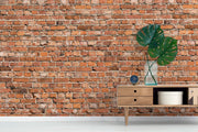 Light Distorted Brick Wall Mural-Textures-Eazywallz