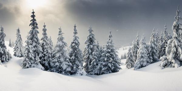 Majestic Winter Panorama Wall Mural-Landscapes & Nature,Panoramic-Eazywallz