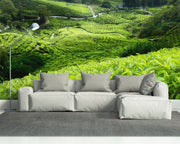 Malaysian Tea Plantation Wall Mural-Landscapes & Nature-Eazywallz