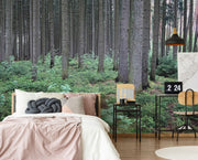 Old Growth Fir Forest Wallpaper Mural-Landscapes & Nature-Eazywallz