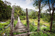 Old narrow hanging bridge Wall Mural-Landscapes & Nature-Eazywallz