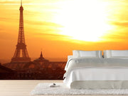 Paris at sunset Wall Mural-Buildings & Landmarks,Cityscapes,Landscapes & Nature-Eazywallz