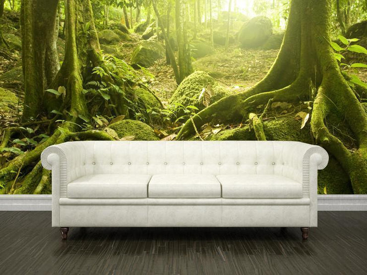 Rainforest and sunlight Wall Mural-Landscapes & Nature-Eazywallz