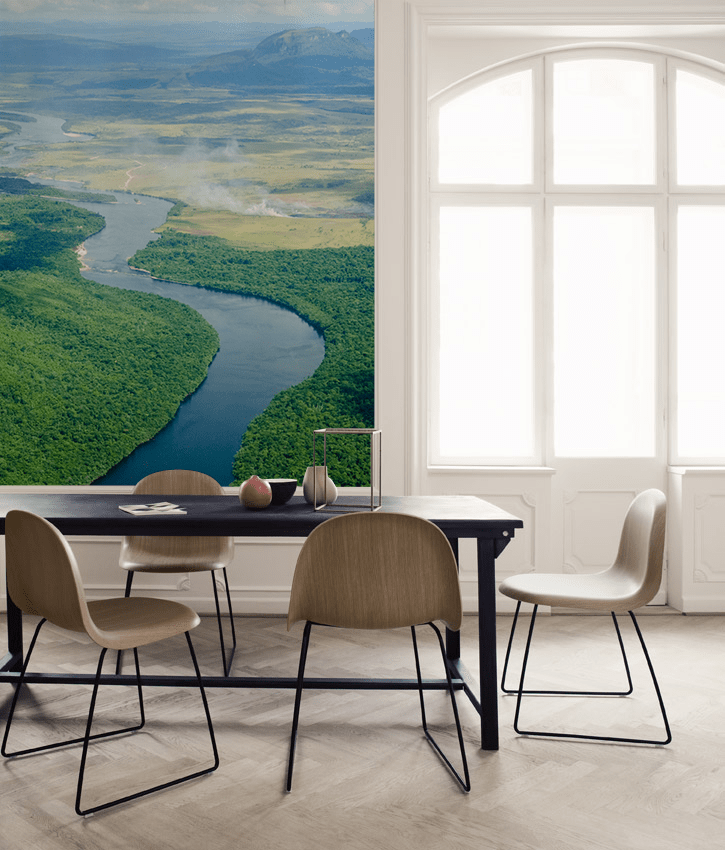 River Flow in Venezuela Wall Mural-Landscapes & Nature-Eazywallz