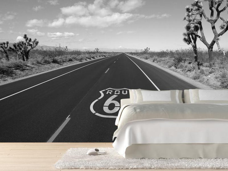 Route 66 crossing Mojave desert Wall Mural-Buildings & Landmarks,Landscapes & Nature-Eazywallz