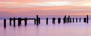 Sunrise in Dorset, England Wall Mural-Landscapes & Nature,Panoramic-Eazywallz