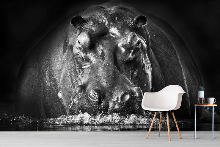 Photo Wallpaper The Hippopotamus