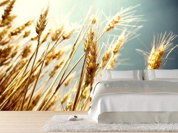 Wheat Wall Mural-Food & Drink-Eazywallz