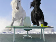 White and black horses Wall Mural-Animals & Wildlife-Eazywallz